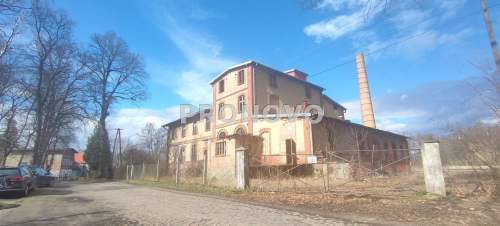 Działka na sprzedaż, 11300 m2, Pławno