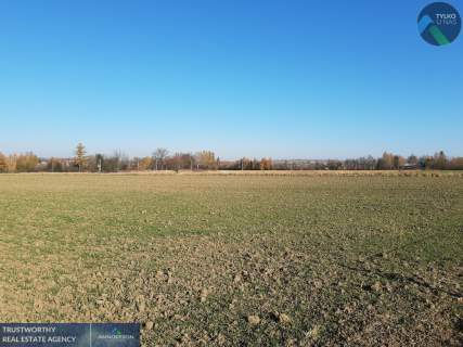 Działka Kryg
