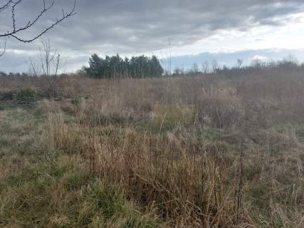 4330 M2 POD ZABUDOWĘ PRODUKCYJNĄ I MAGAZYNOWĄ