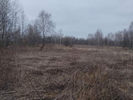 Duża działka pod zabudowę mieszkaniowo-usługową