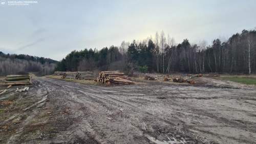 Nowa Niższa Cena Działka Leśna, Las Bondyrz 1,2 ha