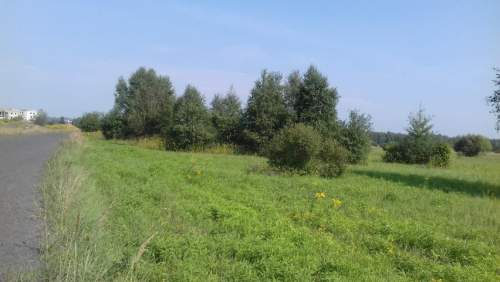 Działka inwestycyjna na sprzedaż, 5520 m2, Niegowoniczki