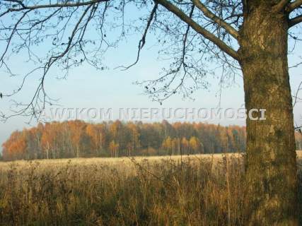 Działka rolna na sprzedaż, 9000 m2, Borowiny