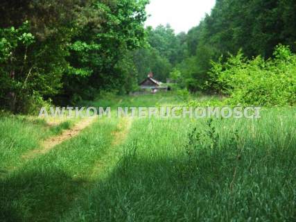 Działka rolna na sprzedaż, 9000 m2, Borowiny