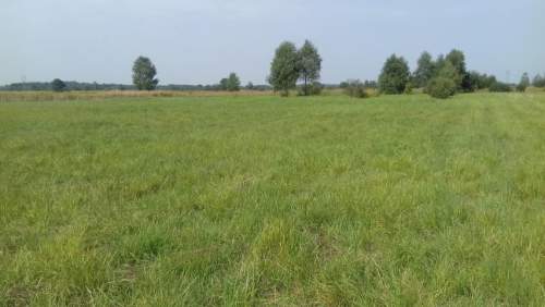 Działka inwestycyjna na sprzedaż, 5520 m2, Niegowoniczki