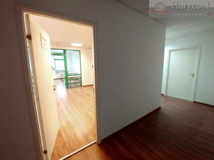 Biurowiec w Centrum - różne powierzchnie 30-150m2