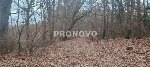 Działka na sprzedaż, 11300 m2, Pławno