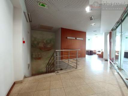 Lokal 60/110m2, serce miasta 50zł/1m2 vat