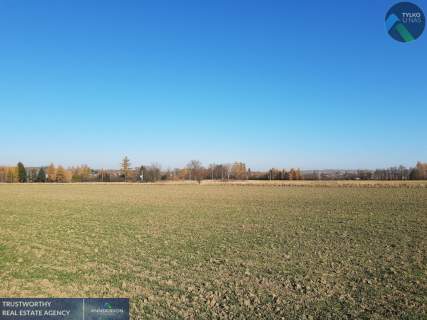 Działka Kryg