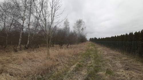 Działka 3000 pod zabudowę siedliskową
