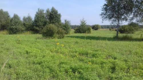 Działka inwestycyjna na sprzedaż, 5520 m2, Niegowoniczki