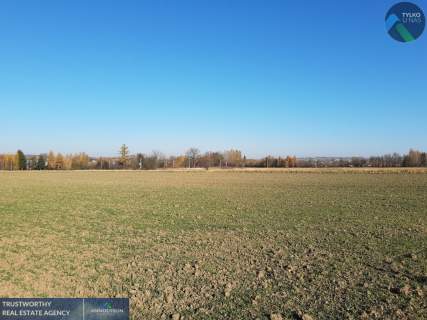Działka Kryg