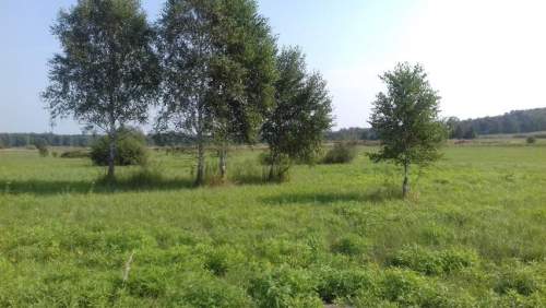 Działka inwestycyjna na sprzedaż, 5520 m2, Niegowoniczki