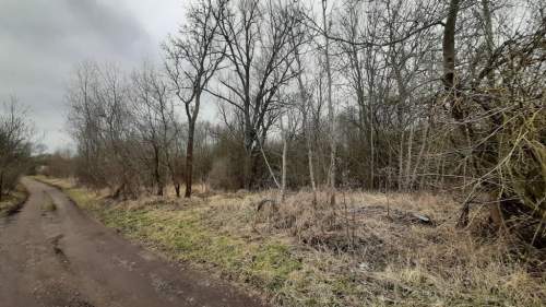 Działka 3000 pod zabudowę siedliskową