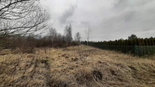 Działka 3000 pod zabudowę siedliskową