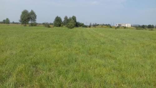Działka inwestycyjna na sprzedaż, 5520 m2, Niegowoniczki