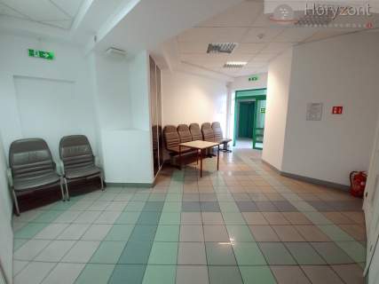 Biurowiec w Centrum - różne powierzchnie 50zł/1m2