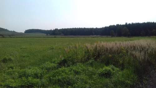 Działka inwestycyjna na sprzedaż, 5520 m2, Niegowoniczki