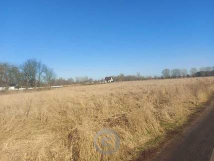 Działki w Łagodzinie, 100 m od lasu - 90 zł/m2