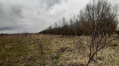 Działka 3000 pod zabudowę siedliskową