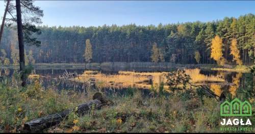 Działka bud./rekr. tuż nad Jeziorem Wielewskim