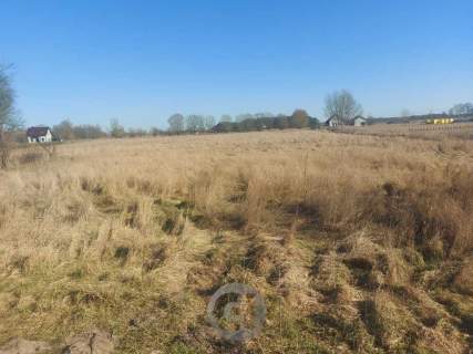 Działki w Łagodzinie, 100 m od lasu - 90 zł/m2