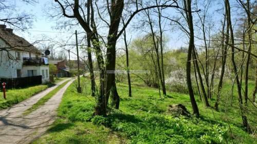 Działka budowlana na sprzedaż, 6501 m2, Ciechów