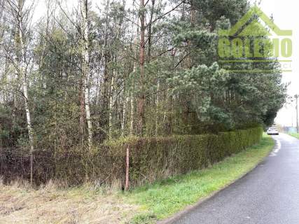 Działka Budowlano-Rekreacyjna / 8900m2 / Łochynia