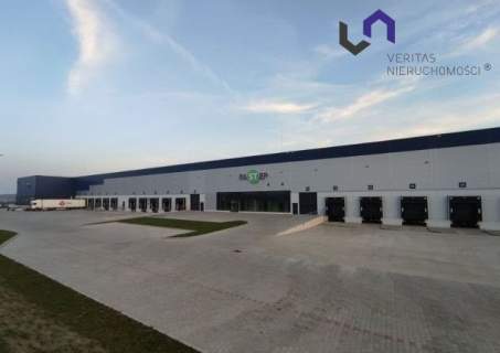 Magazyn do wynajęcia, 6000 m2, Sosnowiec