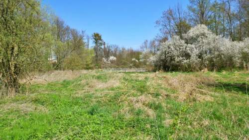 Działka budowlana na sprzedaż, 6501 m2, Ciechów