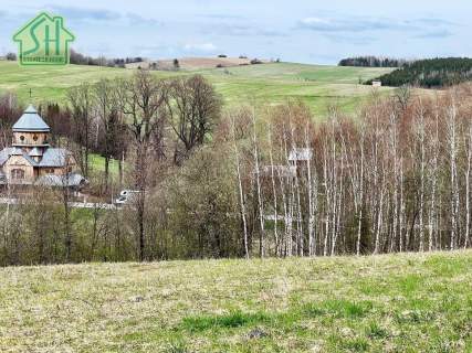 Działka rolna na sprzedaż, 25000 m2, Roztoka