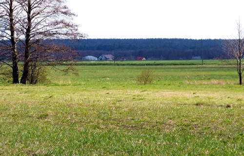 Działka 8 km od Zamościa, Wychody. Na Roztoczu