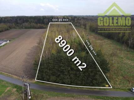 Działka Budowlano-Rekreacyjna / 8900m2 / Łochynia