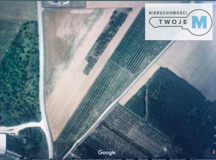 Duża działka nieopodal Pierzchnicy