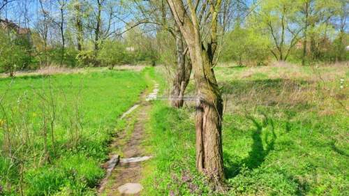 Działka budowlana na sprzedaż, 6501 m2, Ciechów