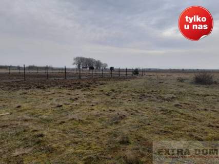 Działka budowlana na sprzedaż, 1000 m2, Goleniów