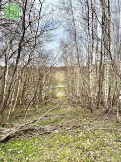 Działka rolna na sprzedaż, 25000 m2, Roztoka