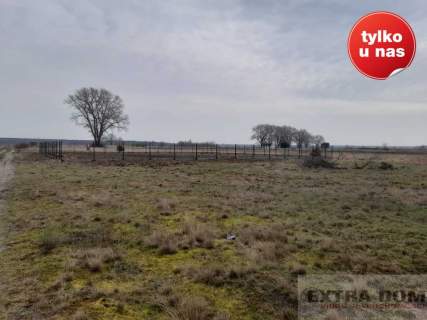 Działka budowlana na sprzedaż, 1000 m2, Goleniów