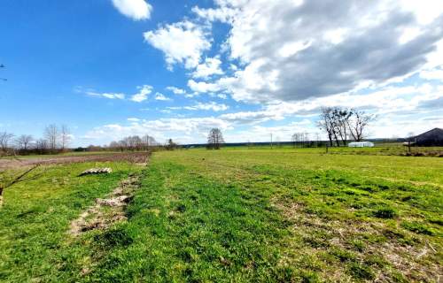 Działka 8 km od Zamościa, Wychody. Na Roztoczu