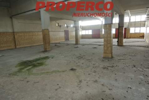 Obiekt 17184 m2 Działka 91690 m2 Jędrzejów