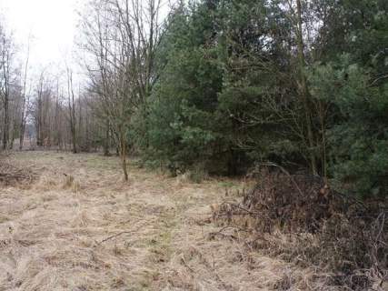 Działka budowlana na sprzedaż, 58300 m2, Michalin