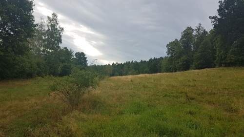 Działka na sprzedaż.