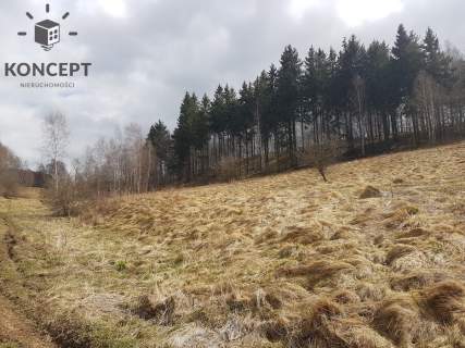Ptaszków -działka na sprzedaż.