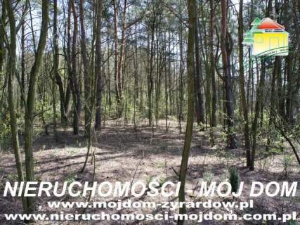 Działka leśna na sprzedaż, 3400 m2, Wycześniak