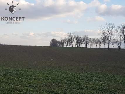 Działka budowlana w Piotrowicach na sprzedaż
