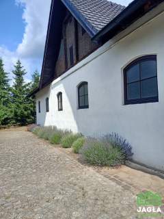 Działka 13040m rezydencja Niemcz 277 stajnia MPZP