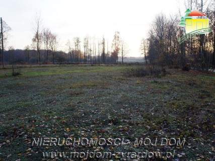 Działka budowlana na sprzedaż, 1951 m2, Zazdrość