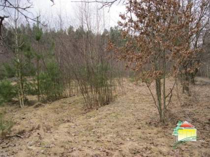 Działka rolna na sprzedaż, 3702 m2, Wężyk
