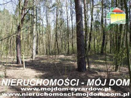 Działka leśna na sprzedaż, 3400 m2, Wycześniak