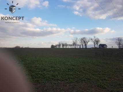 Działka budowlana w Piotrowicach na sprzedaż